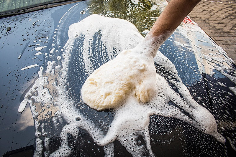 Guante de lavado KOALA – Lana merino australiana ultra suave